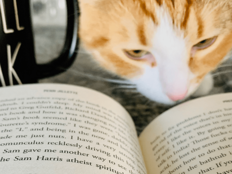 Monthly Reads: January&nbsp;2021