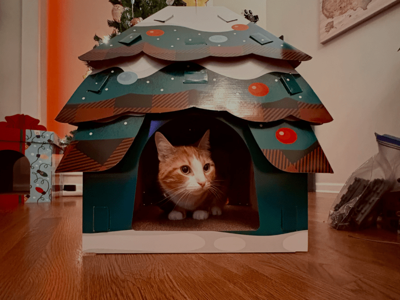 Building Christmas Cheer: Baby Cat’s Cat House&nbsp;Tradition